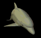 dolphinb2(1).gif (14901 bytes)